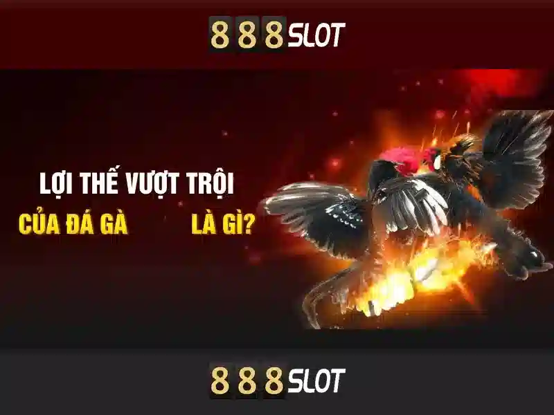 888SLOT Trang Chủ