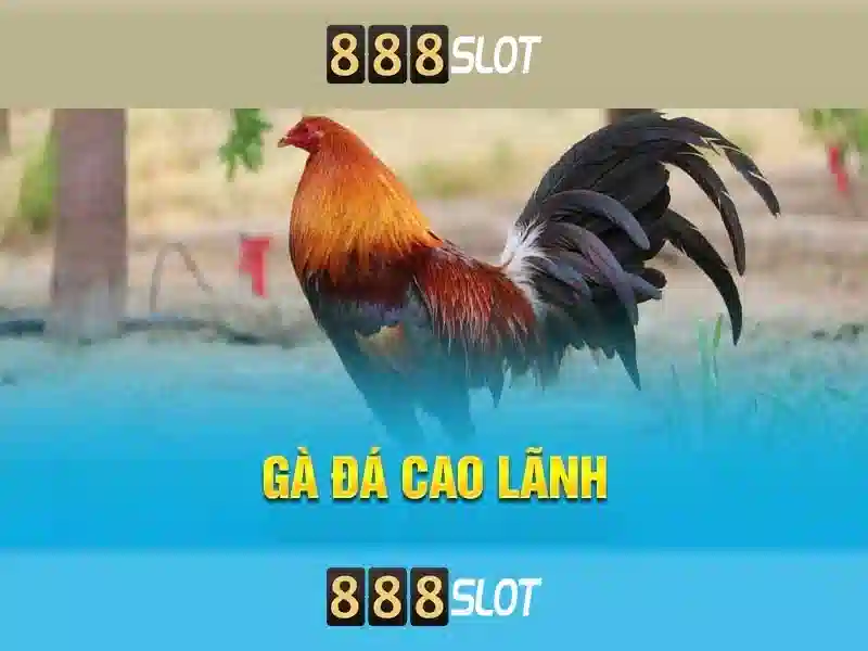 Tải 888slot Apk Mod
