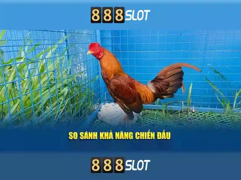 888slot đăng nhập