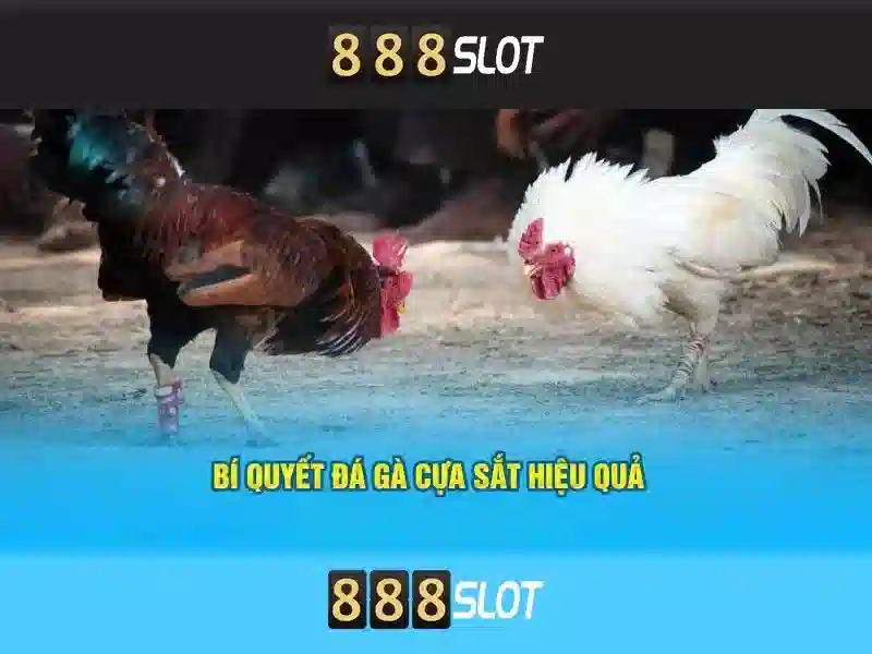 Tại Sao Nên Chọn 888SLOT