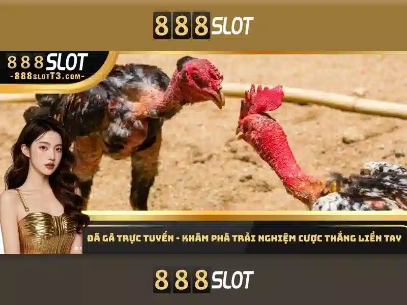 Trải nghiệm slot đỉnh cao 2026