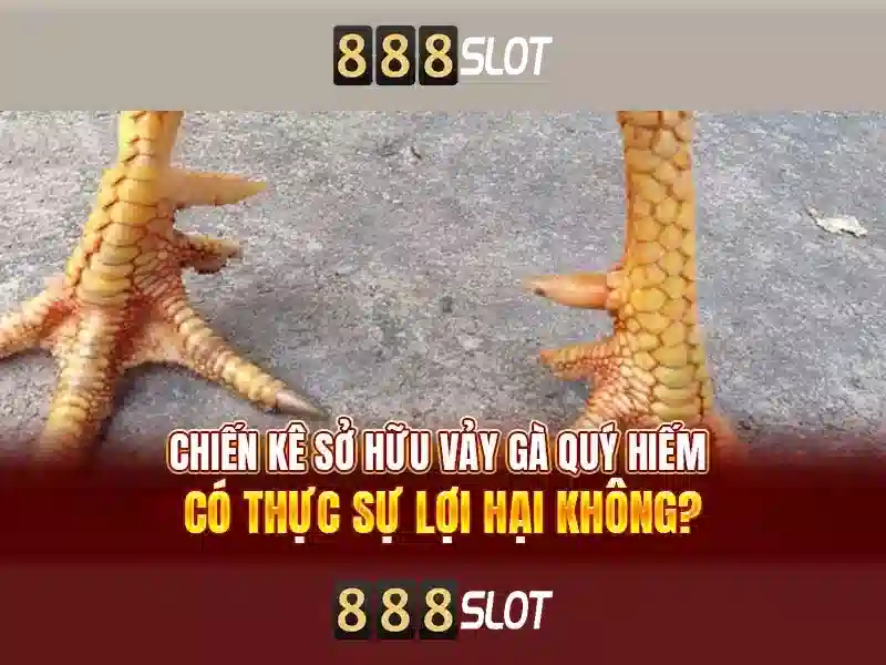 slot đa dạng 888SLOT