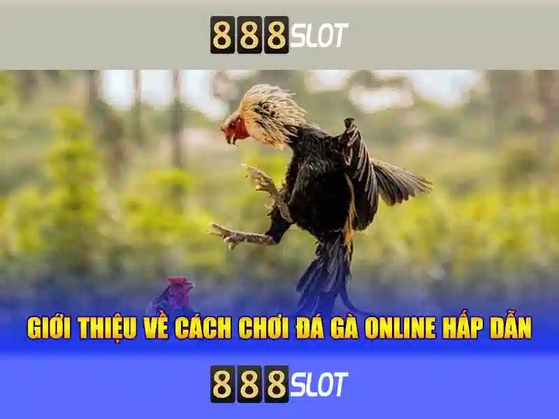 Cách chơi slot trúng thưởng cao nhất