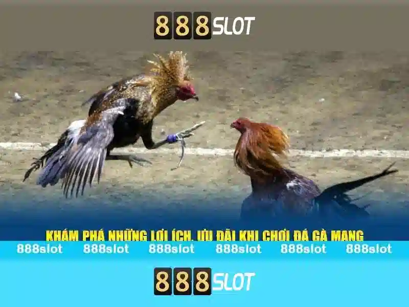 Ưu Điểm Của 888SLOT Trong Ngành Slot