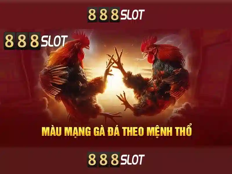 Các loại hình cá cược Đá Gà tại 888SLOT