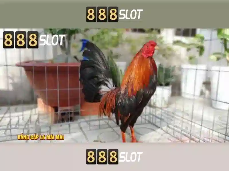 Quy Trình Đăng Nhập