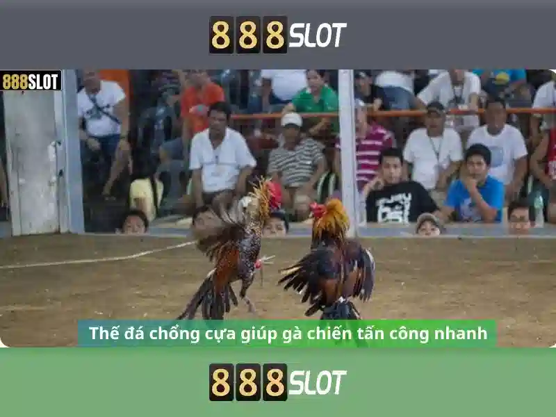 tải apk 888slot apk