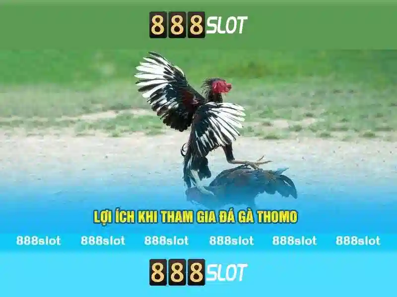 Cách Thức Giao Dịch