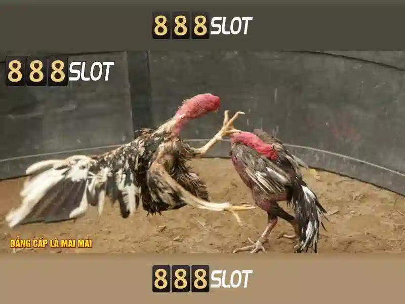 Tính Năng Đột Phá Trong Slot 888slot vn