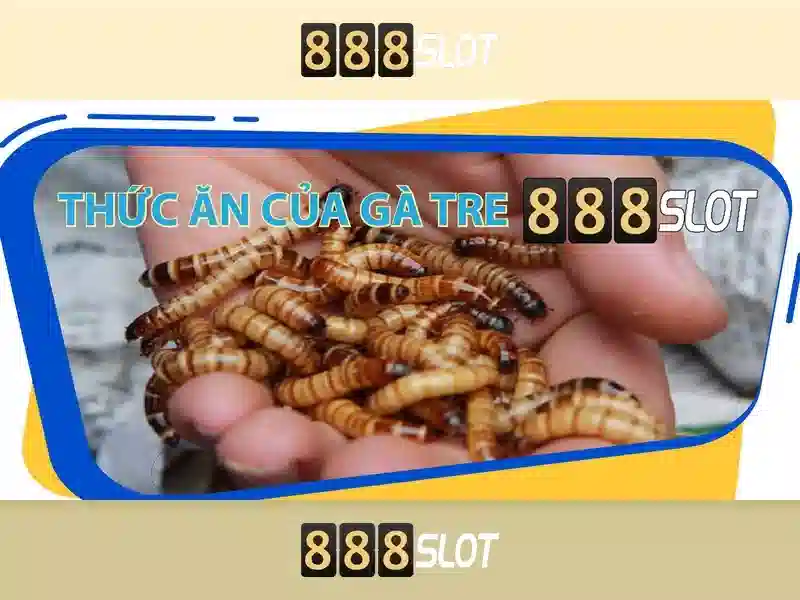 Hỗ trợ khách hàng 888slot