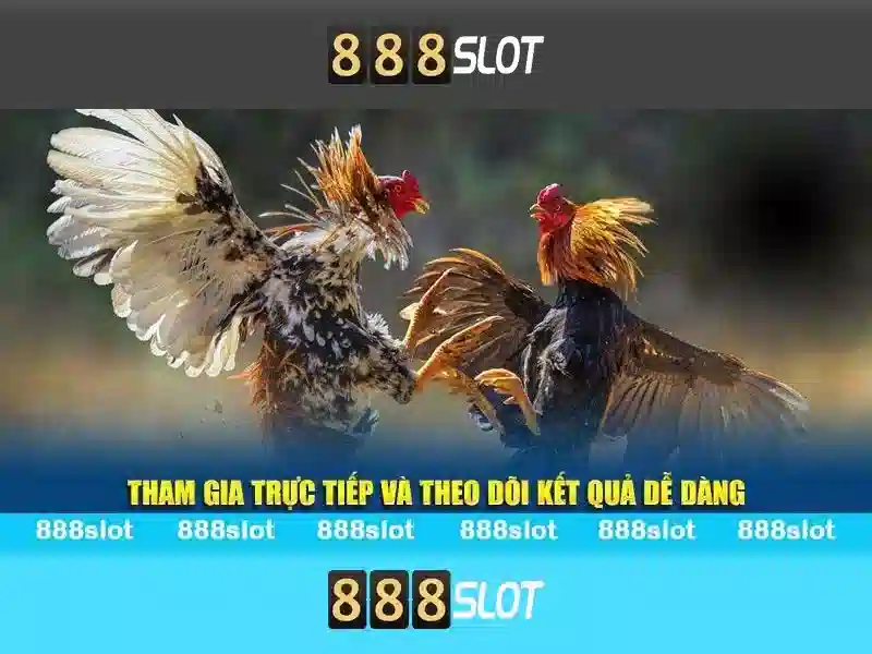 Kênh 888slot Channel