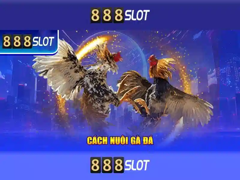 Tính Năng Đặc Biệt Của Danh Mục Slot