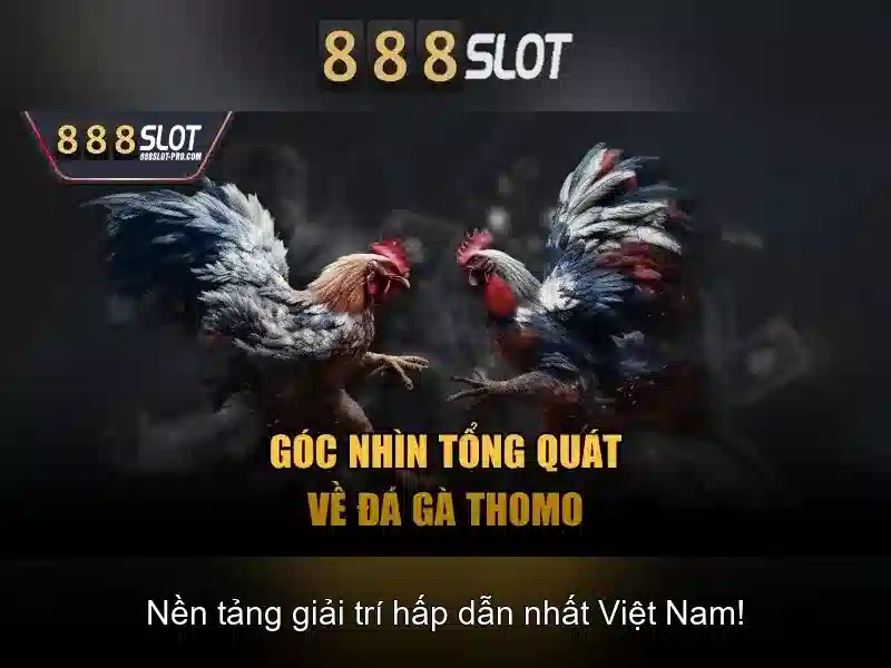 Ưu Đãi Đặc Biệt Cho Thành Viên 888SLOT