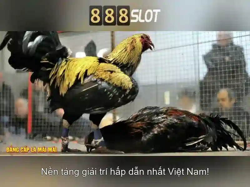 Trải nghiệm slot online