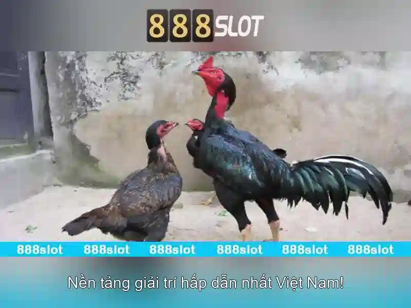 Khám Phá 888SLOT