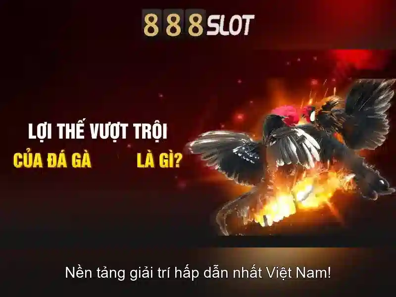 Hướng Dẫn Chơi Slot Tại 888SLOT