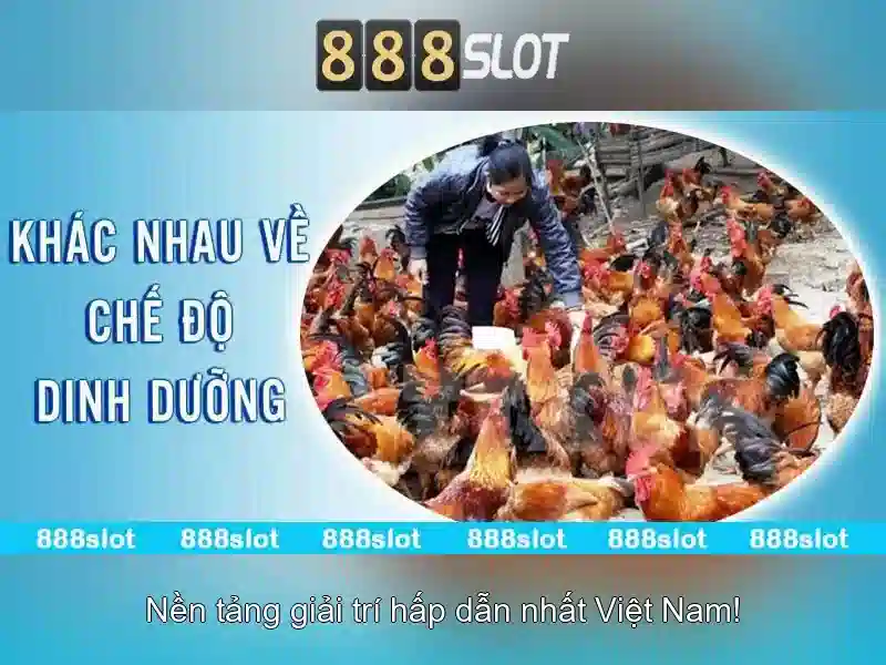 Trải Nghiệm 888SLOT