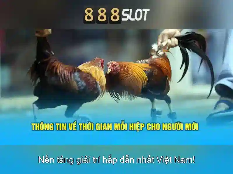 Trải nghiệm Slot Vàng