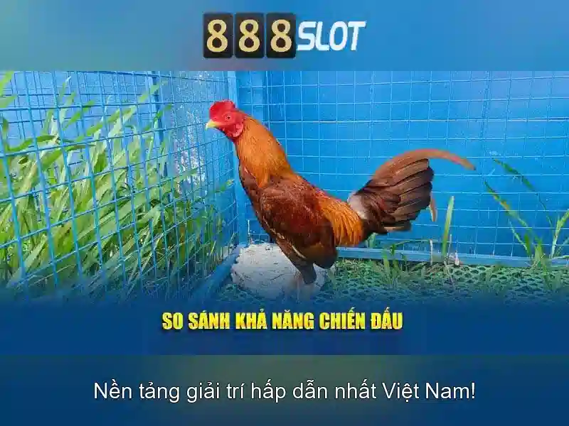 Trải nghiệm slot miễn phí