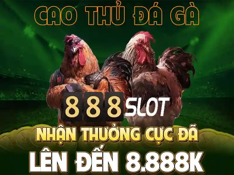 Ưu điểm